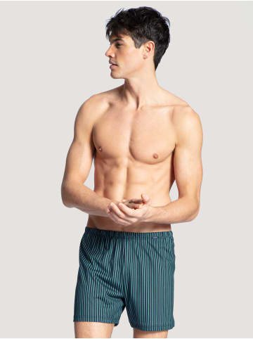 Calida Boxershorts in Laurel