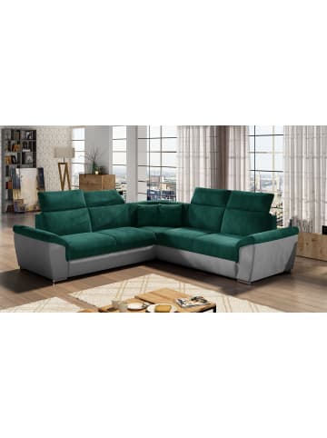 MF Design Fredo in Flaschengrün -  (L) 266 x (B) 266 x (H) 102 cm