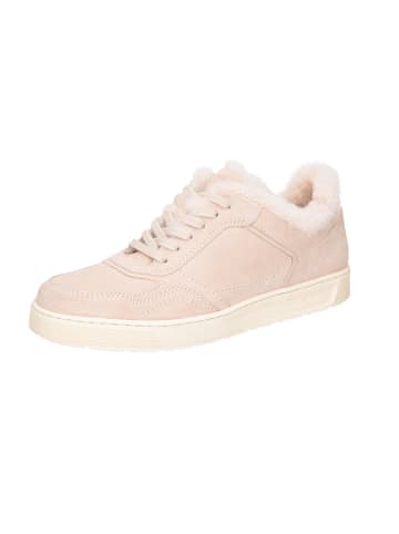 Sioux Schnürschuh in sonstige