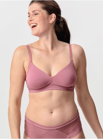 Erlich Textil  Soft-BH AMELA in mauve