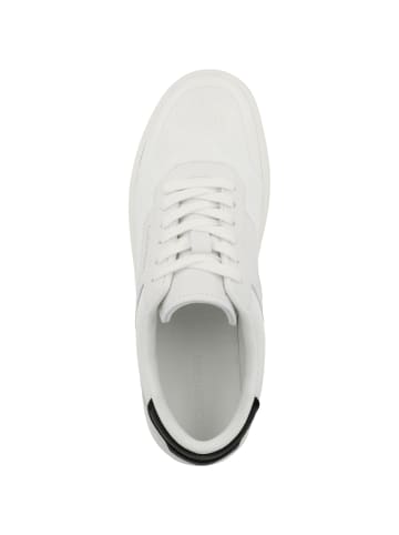 Calvin Klein Sneaker low Low Top Lace Up Knit in weiss
