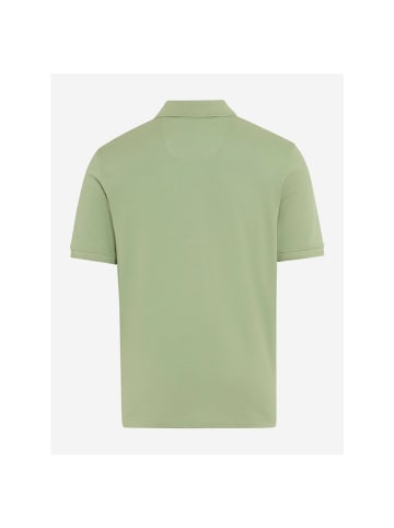 BRAX  Polo in herb
