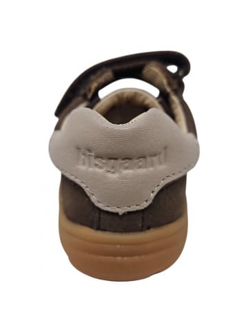 bisgaard Klettschuh Barefoot Rico in Braun