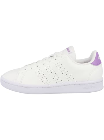 adidas Performance Sneaker low Advantage in weiss