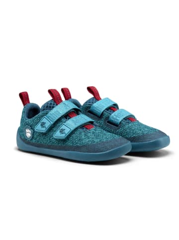 Affenzahn Affenzahn Halbschuh Knit Happy Hai Größe 21