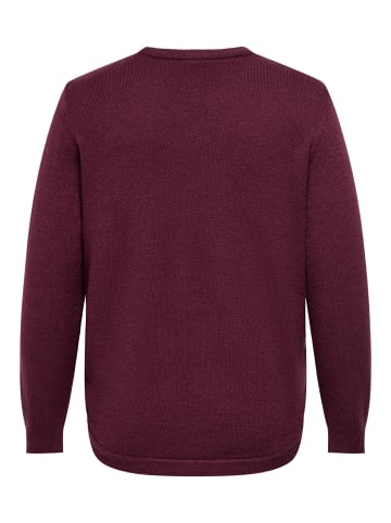 ONLY Carmakoma Strickpullover in Fig