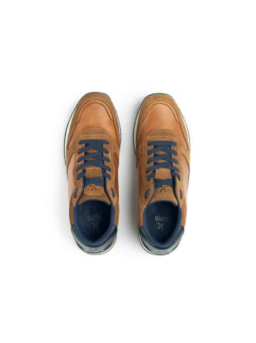 LLOYD Sneaker für Herren in braun