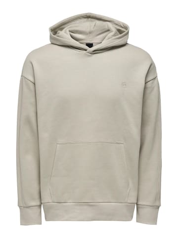 ONLY & SONS Kapuzenpullover in Silver Lining