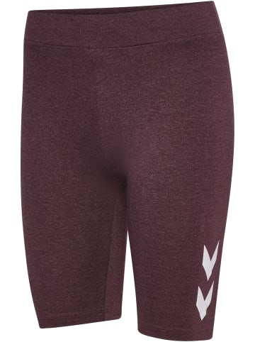 Hummel Hummel Tight Kurze Hose Hmlpulse Damen in FUDGE MELANGE