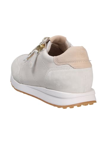 Paul Green Sneaker in beige