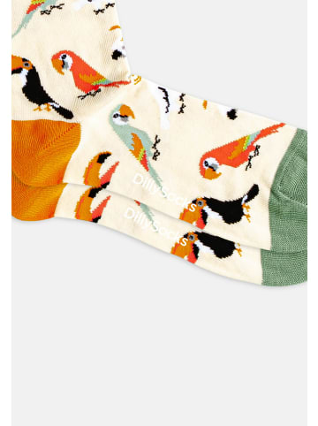 DillySocks Socken Bird Crowd Pack in mehrfarbig