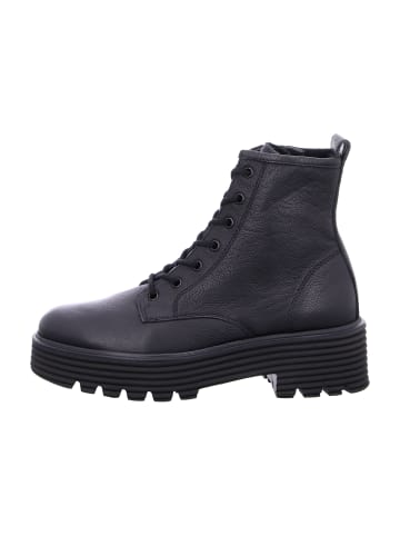Paul Green Schnürboots in Schwarz