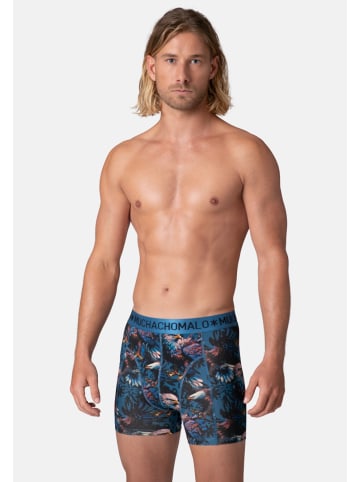 Muchachomalo 2er-Set: Boxershort in Mehrfarbig - für Herren