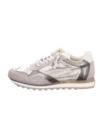 Cetti Sneaker Low in Silber
