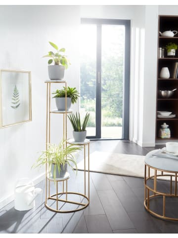 FineBuy Bücherregal in Gold / Metall / 37x37x108