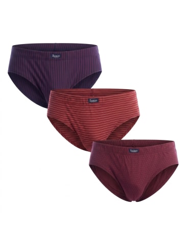 Abanderado 3er-Set: Slip in Bordeaux