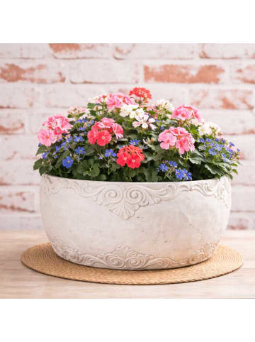 AltoBelli Blumentopf ADELINA Schale Zement Antik Grau Patina 24x12 cm