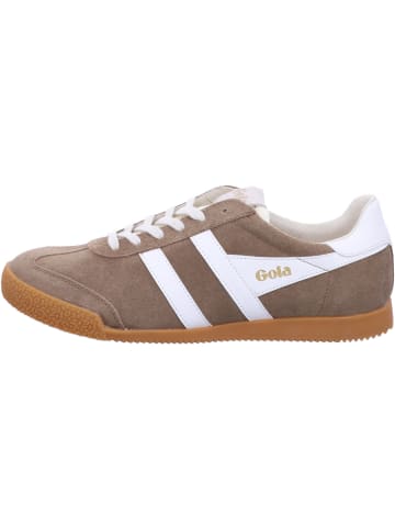 Gola Sneaker Low in braun