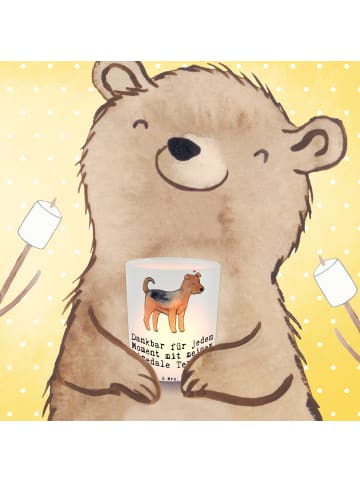 Mr. & Mrs. Panda Windlicht Kerzenhalter Airedale Terrier Moment ... in Transparent