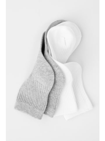 Coccodrillo Socken in bunt