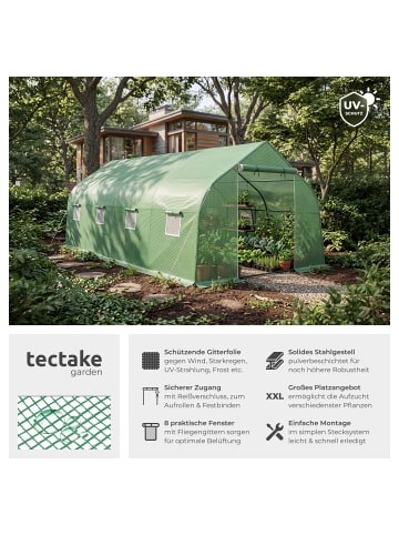 tectake Foliengewächshaus, Maße 600 x 300 x 205 cm, 27 m³, mit Zeltform