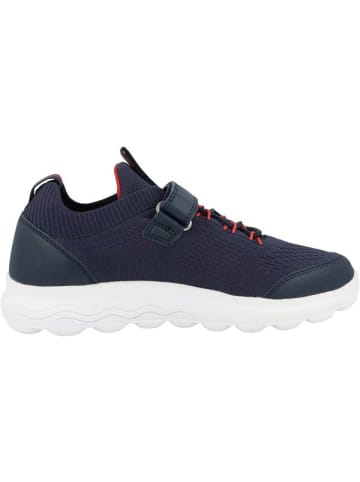 Geox Sneaker für Jungen in blau
