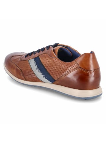 Bugatti Schnürhalbschuh in braun