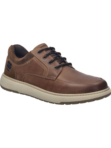 Josef Seibel Sneaker Clayton 01 in braun