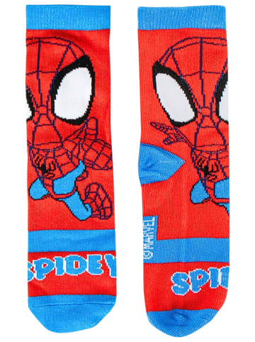 Cerda 4er - Pack Kindersocken Spidey Geschenkset in Spardose  in Bunt