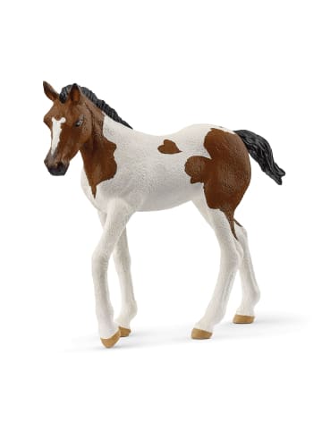 Schleich Paint Horse Fohlen in Mehrfarbig ab 5 Jahre