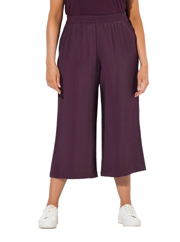 Ulla Popken Culotte in dunkle pflaume