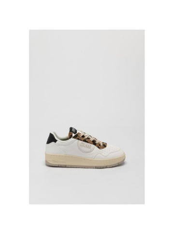COLMAR Mehrfarbig Polyethylen Low Top Sneaker