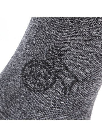 Fußballverein 1. FC Köln Socke "Businesssocke Anthrazit 2er Pack" in Grau