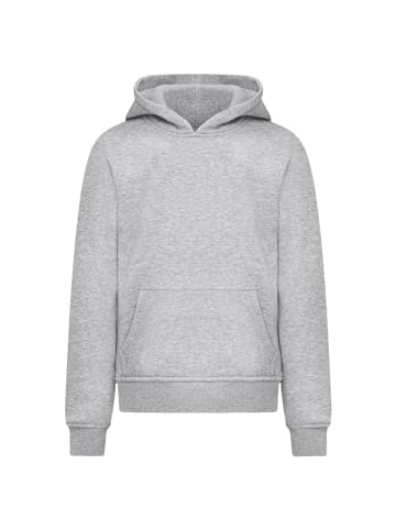 F4NT4STIC Hoodie Escape Discover the World Mountain in grau meliert