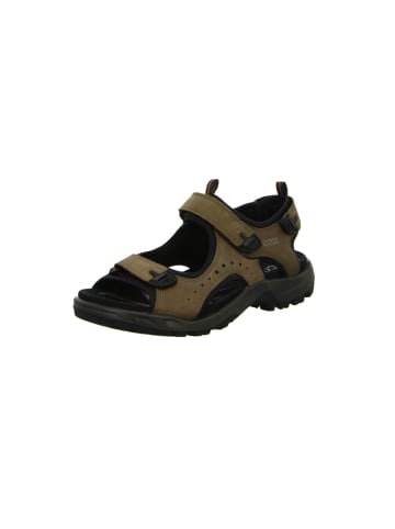 Ecco Sandalen in braun