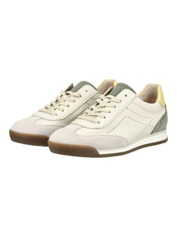 Gabor Sneaker in Beige/Grün