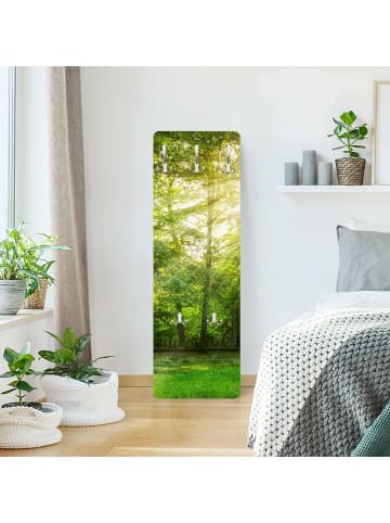 WALLART Garderobe - Spaziergang im Wald in Braun