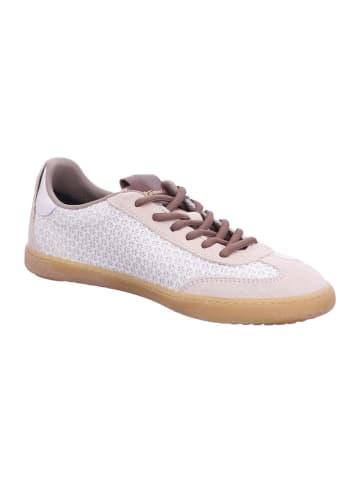 Tamaris Sneaker in beige/beige