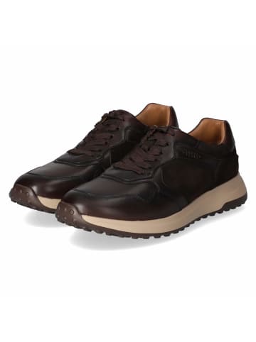 Tamaris Schnürhalbschuh in brown