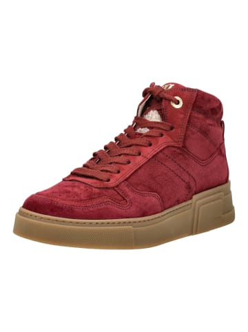 Paul Green Sneaker in Wine