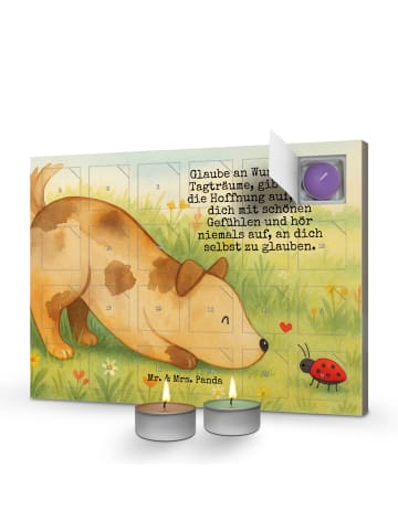 Mr. & Mrs. Panda Adventskalender Hund Marienkäfer Design mit Spruch in Weiß