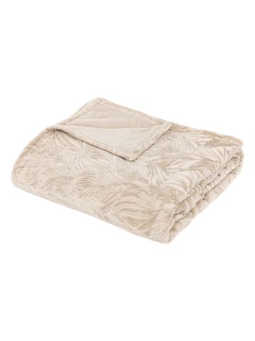 Atmosphera Créateur d'intérieur Kuscheldecke in beige