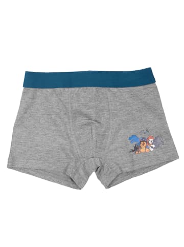 Paw Patrol 2er Pack Paw Patrol Boxershorts in blau/grau