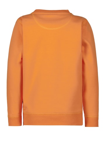 Garcia O-Neck Hoodie in koi fish