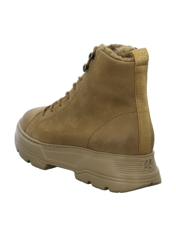 Paul Green Schnürboots in Beige