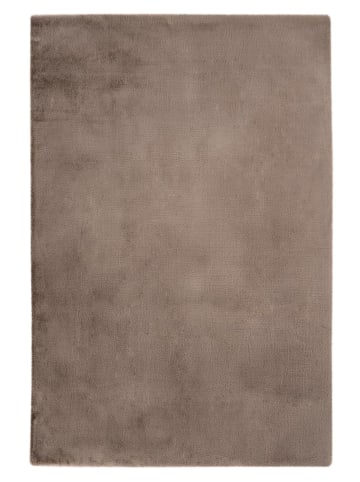 Teppich Boss Kurzflor Teppich Charlotte 545 - Taupe