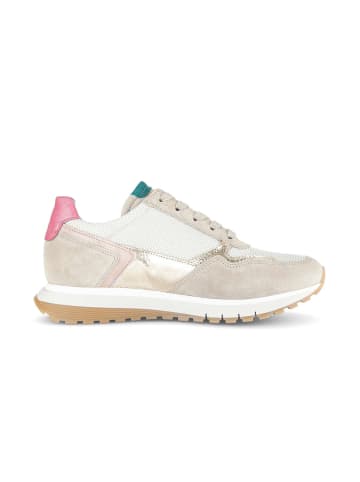 Gabor Sneaker low in multicolour