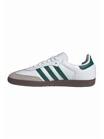 adidas adidas Turnschuhe in footwear white/collegiate green/clear granite