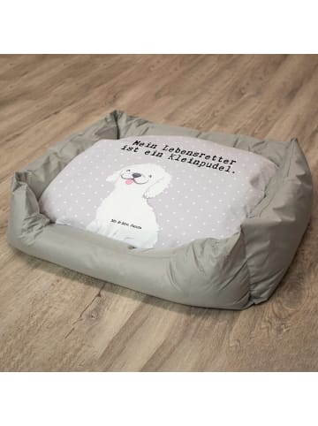 Mr. & Mrs. Panda Hundekörbchen Kleinpudel Lebensretter mit Spruch in Grau Pastell