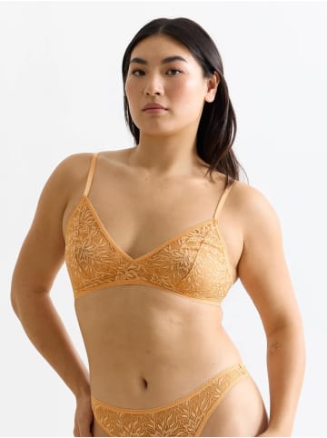 Erlich Textil  ICONIC LACE TRIANGEL BH in aprikose